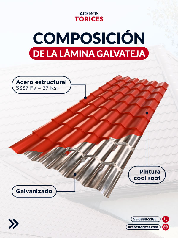 infografia composicion de la lamina galvateja Infografía composición de lámina Galvateja